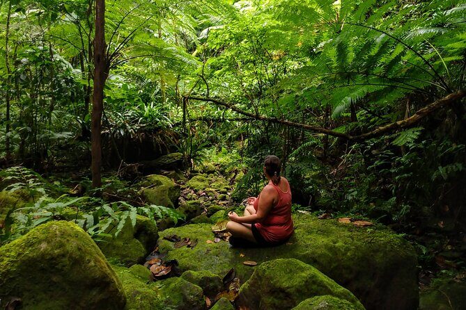 Mindfulness Rainforest Hike, Forest Bathing, Volcanic Hot Springs - Introduction: A Unique Blend of Mindfulness and Nature on Nevis