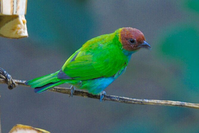 Mindo Cloud Forest Customizable - Authentic Encounters that Make This Tour Special