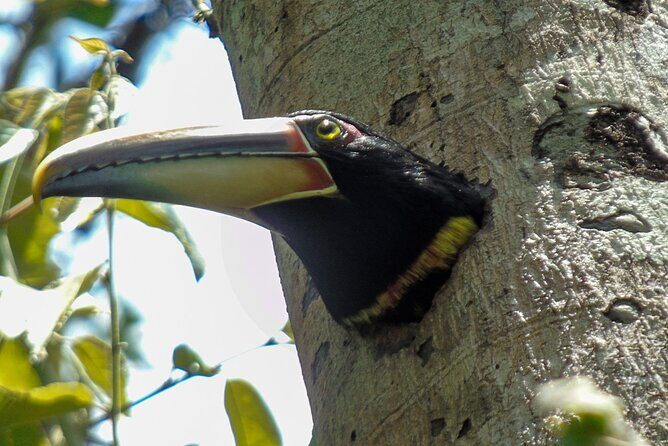 Mindo Cloud Forest Customizable - Who Should Consider This Tour?