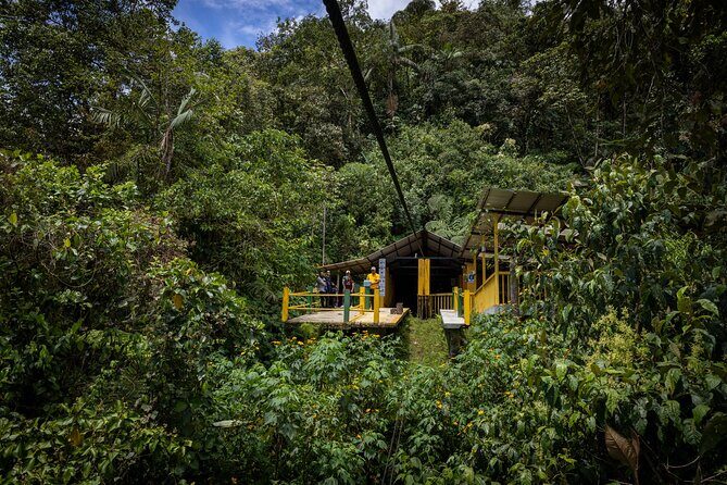 Mindo Cloud Forest Experience THE CUSTOMIZELY ONE from Quito - What Makes the Mindo Cloud Forest Experience Special?