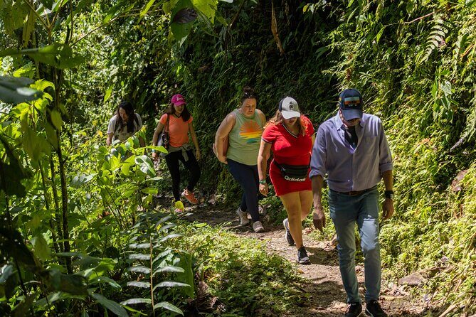 Mindo Cloud Forest Experience THE CUSTOMIZELY ONE from Quito - Authenticity and Guide Quality