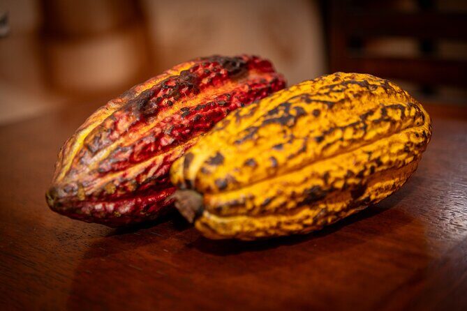 Mindo Cloud Forest Experience THE CUSTOMIZELY ONE from Quito - The Sum Up