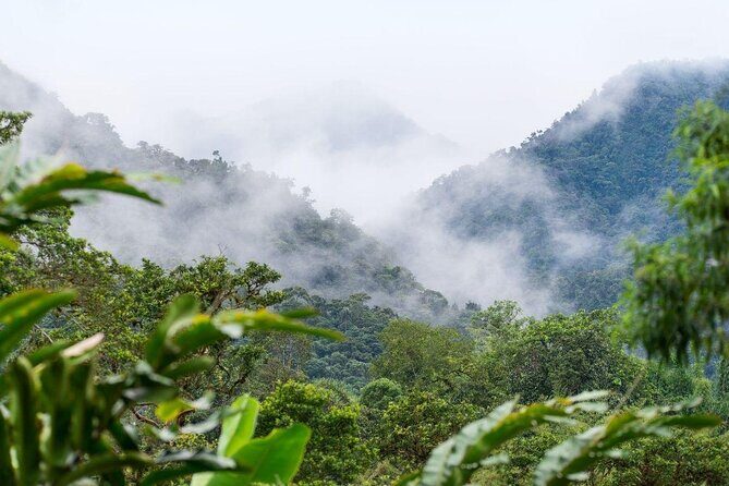 Mindo Cloud Forest Full Day (flexible itinerary) - Key Points