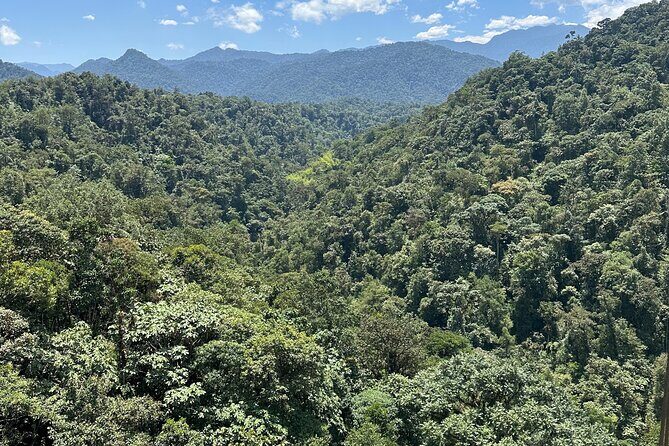 Mindo Cloud Forest Guided Private Tour with Fees Included - Who Will Love This Tour?