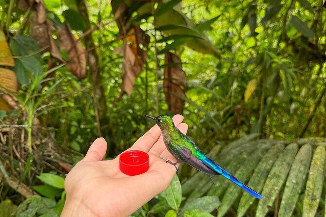 Mindo Cloud Forest & Middle of the World Tour from Quito - A Perfect Blend of Nature and Geography: Mindo Cloud Forest & Middle of the World Tour from Quito