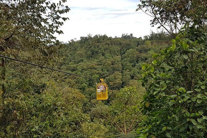 Mindo Cloud Forest & Middle of the World Tour from Quito - Is This Tour Worth It?