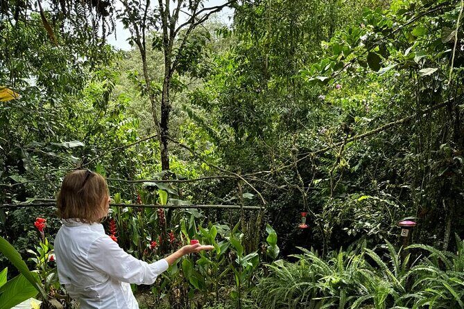 Mindo Cloud Forest Private Day Tour and Chocolate Factory - Key Points