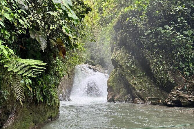 Mindo Cloud Forest Private Day Tour and Chocolate Factory - FAQ