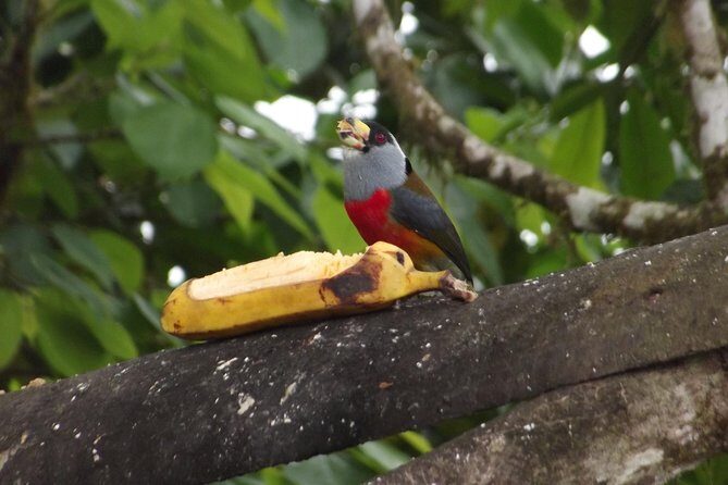 Mindo Cloud Forest (PRIVATE Day Trip from Quito) - Key Points