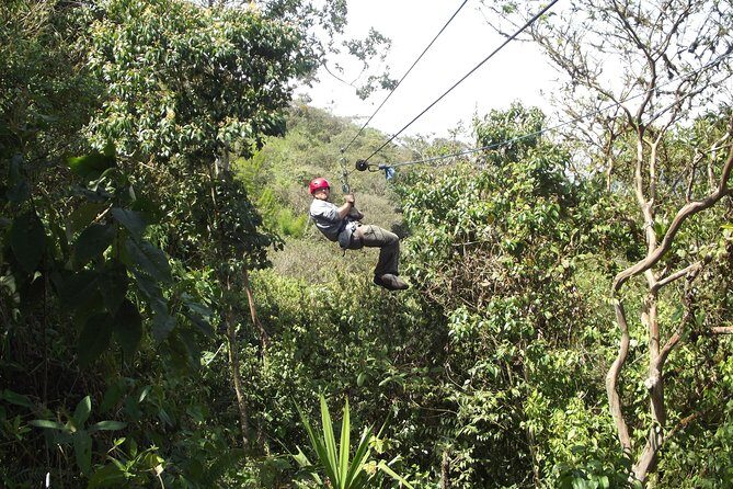 Mindo Cloud Forest (PRIVATE Day Trip from Quito) - Authentic Traveler Insights