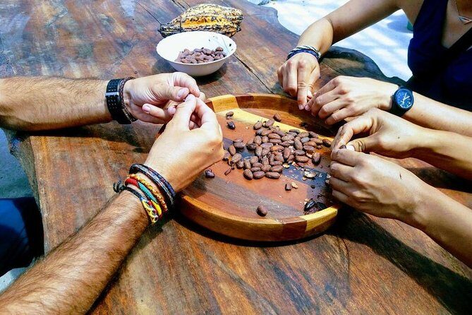 Mindo Cloud Forest Private Tour: Chocolate, Coffee, Birds, Nature - Exploring Mindo and the Cloud Forest: An Authentic Ecuadorian Escape