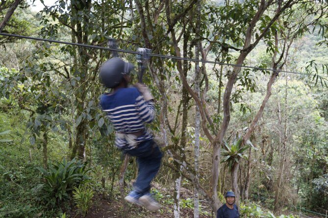Mindo Cloudforest and Birdwatching from Quito BY ECUADORTREASURE - Exploring the Mindo Cloud Forest: A Detailed Look