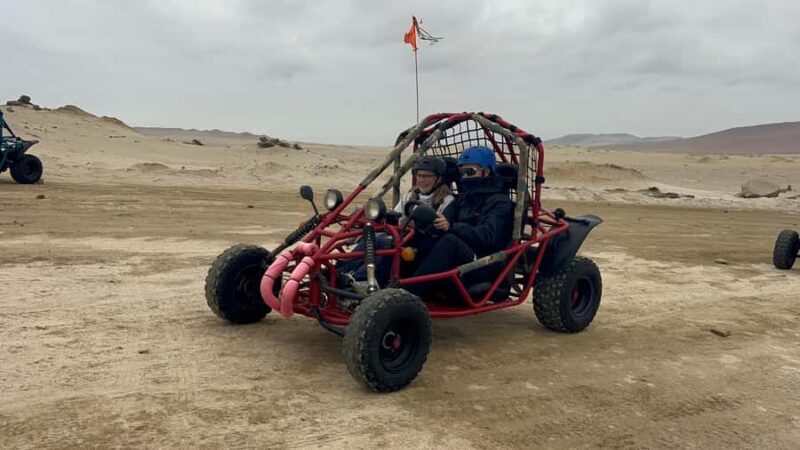 Mini Buggy GO KART in Paracas National Reserve - The Scenic Stops
