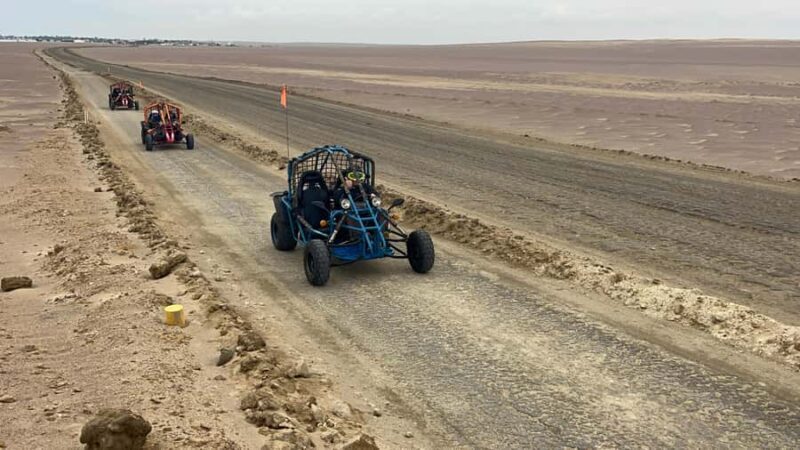 Mini Buggy GO KART in Paracas National Reserve - Who Will Love This Tour?
