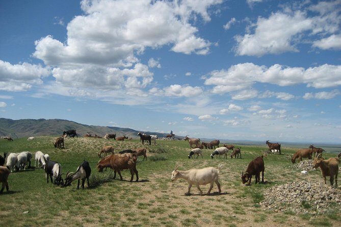 Mini Gobi and the ancient capital Kharkhorin - 4 days - Final Thoughts