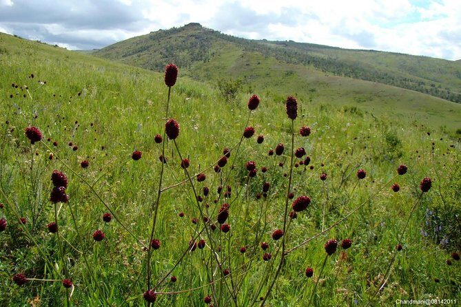 Mini Gobi and the ancient capital Kharkhorin - 4 days - FAQ