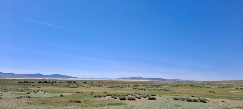 Mini Gobi, Orkhon, Tuvkhun Monastery & Kharkhorin 4-Day Tour - Discovering Mongolia’s Wonders in 4 Days