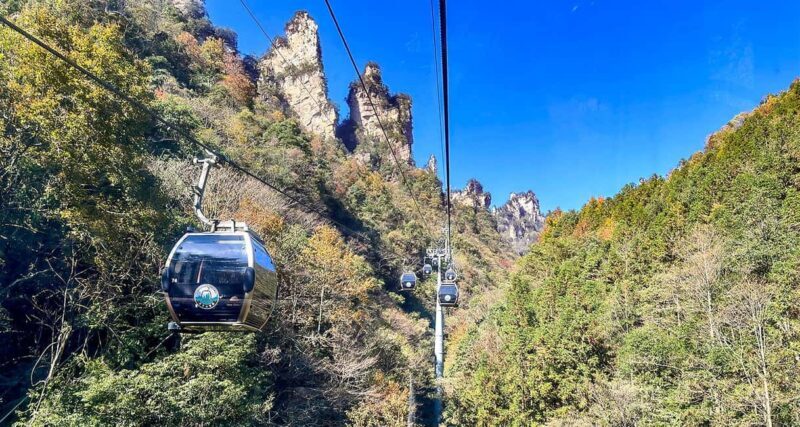 Mini Group Tour: Zhangjiajie Forest Park & Avatar Mountains - Why This Tour Delivers Great Value