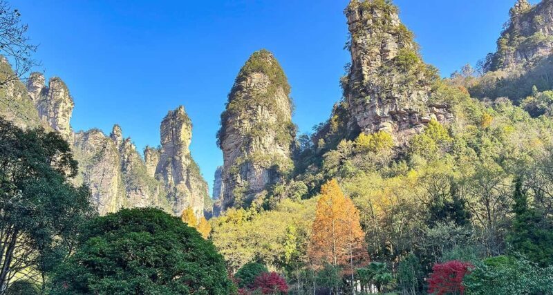 Mini Group Tour: Zhangjiajie Forest Park & Avatar Mountains - The Sum Up: The Right Choice for Authentic Zhangjiajie Adventure