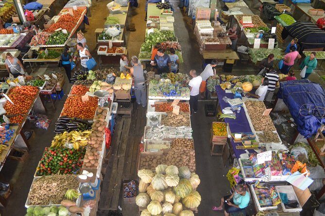 Mini Island Tour of Trinidad - Experience a Taste of Trinidad in Just 5 Hours