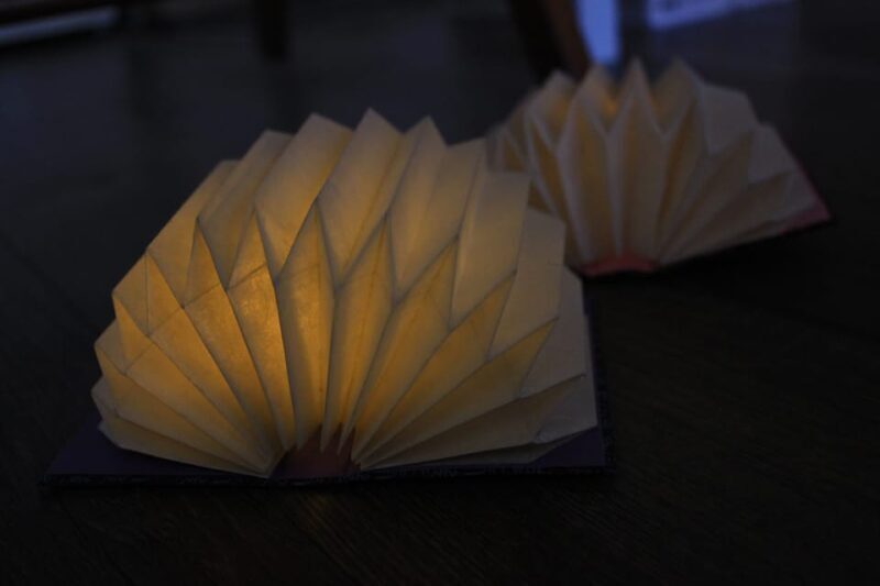 Mini Origami Lamp and Mizuhiki knot Belt Workshop in Ueno - Key Points