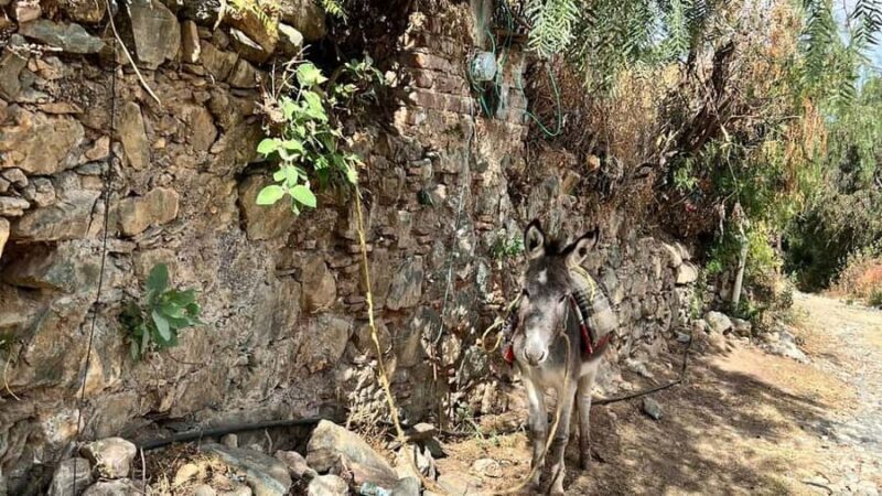 Mining Hike in Guanajuato: Mineral de la Luz and its Veins - Exploring Guanajuato’s Mining Heritage