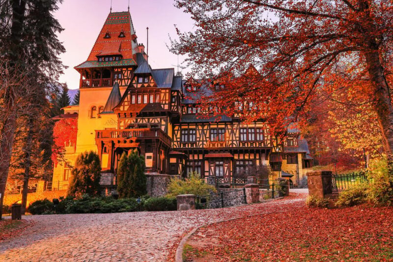 Minivan 8 Places : Dracula Castle, Peles, & Brasov Day Tour - Final Thoughts
