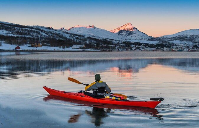 Minivan Northern Lights excursion (8 guests per minivan) - Discovering the Northern Lights with a Minivan Tour from Tromso