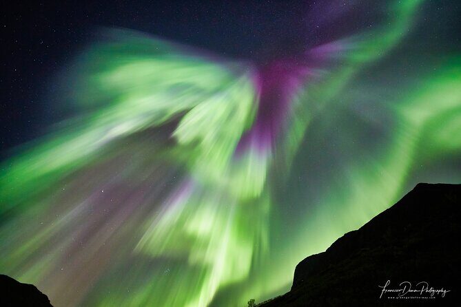 Minivan Northern Lights excursion (8 guests per minivan) - A Closer Look at the Minivan Northern Lights Tour