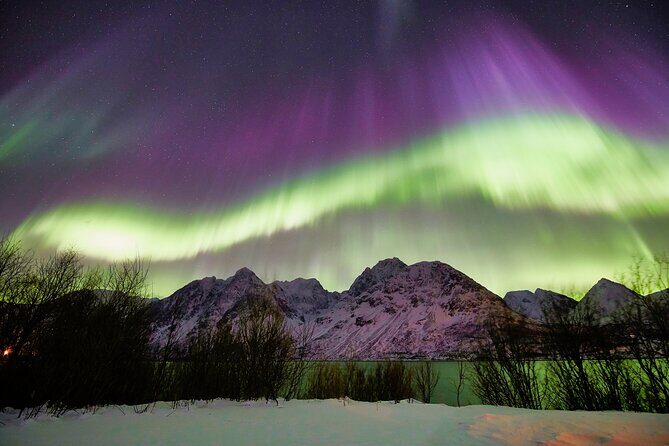 Minivan Northern Lights excursion (8 guests per minivan) - Who Should Consider This Tour?