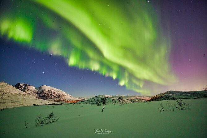 Minivan Northern Lights excursion (8 guests per minivan) - Frequently Asked Questions