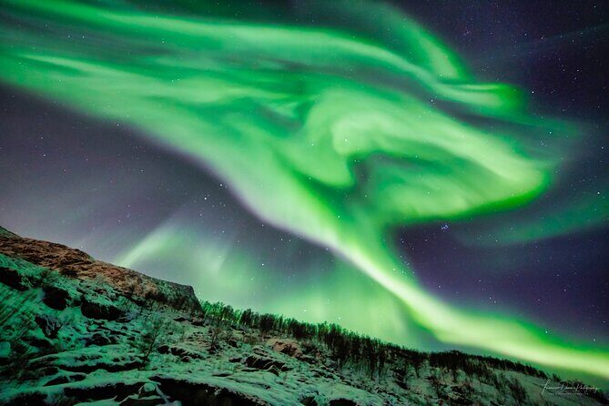 Minivan Northern Lights excursion (8 guests per minivan) - Final Thoughts