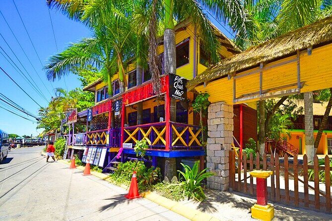 Minivan with Local Guide (3-6 Guests) Private Tour - Key Points