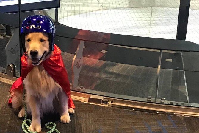 Minneapolis Indoor Skydiving Admission with 2 Flights & Personalized Certificate - FAQ: Common Questions About Indoor Skydiving in Minneapolis