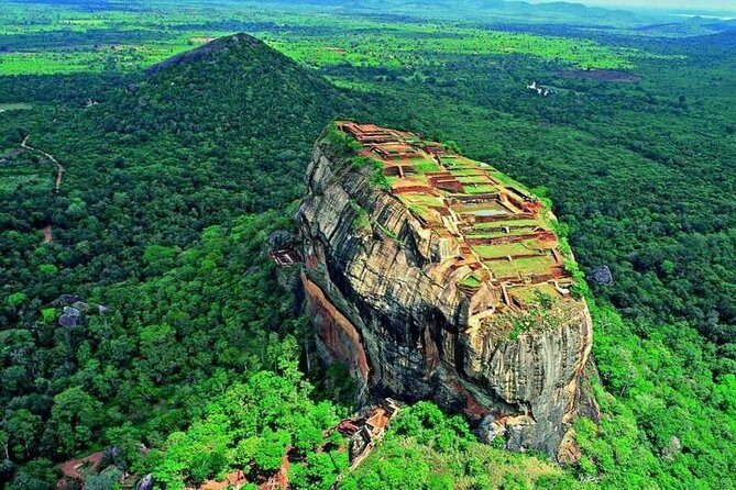 Minneriya Elephant Safari wth Sigiriya Lion Rock from Colombo - Minneriya National Park: Elephant Encounters