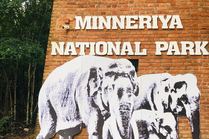 Minneriya Half Day Safari - Key Points