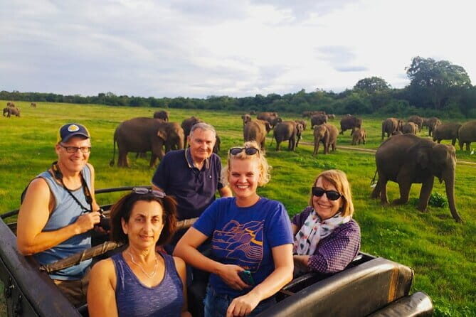 Minneriya Half Day Safari Tour - Who Will Love This Tour?