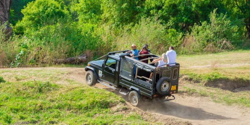 Minneriya: Minneriya National Park Private Safari - Who Is This Tour Best For?