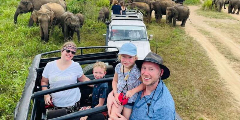 Minneriya National Park 4x4 jeep Safari Include Entrance Fee - The Value of This Safari