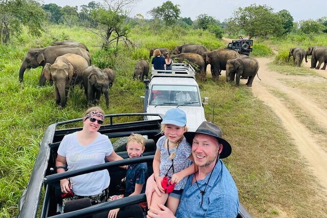 Minneriya National Park Half day Jeep Safari with Hotel Pickup - A Closer Look at the Minneriya National Park Safari Experience