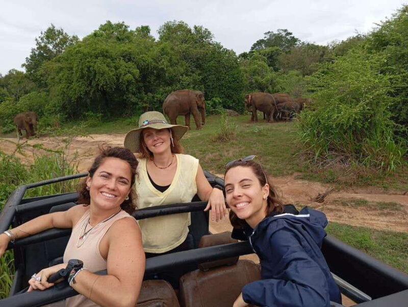 Minneriya National Park: Half-Day Safari Morning or Evening - Why This Tour Works for You