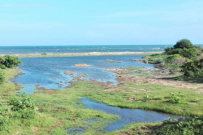 Minneriya National Park Safari | Jeep with Tickets - Analyzing the Value and Experience