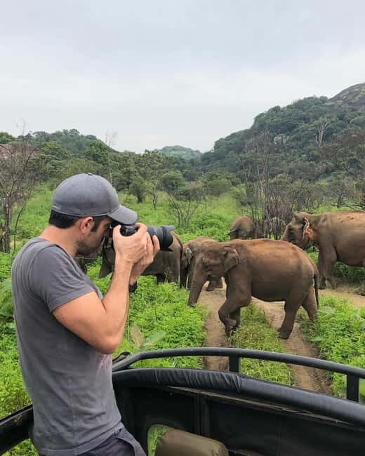 Minneriya National Park Safari  See Wild Elephants Up Close - Wildlife and Ecosystem Insights
