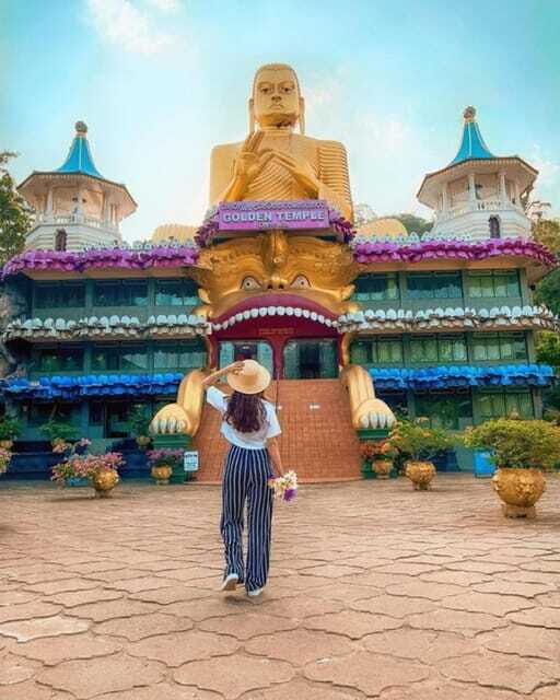 Minneriya National Park Safari  See Wild Elephants Up Close - Practical Details and Planning Tips