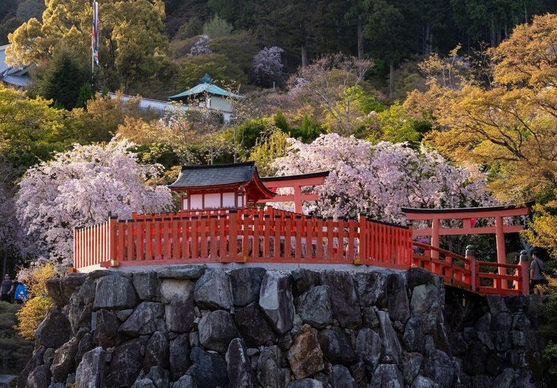 Minoh Katsuoji Temple Walking Tour with Local Guide (4 Hours) - At a glance