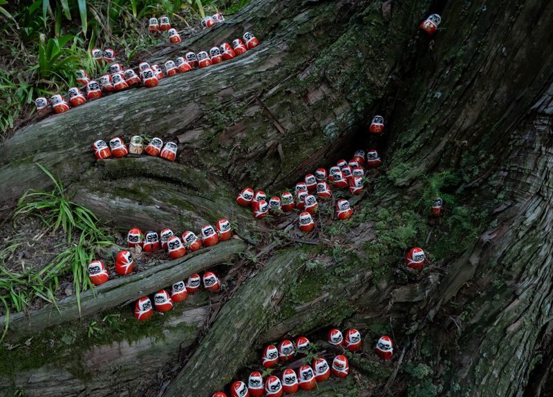 Minoh Katsuoji Temple Walking Tour with Local Guide (4 Hours) - The bus ride into the Minoh hills