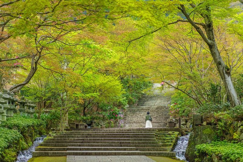 Minoh Katsuoji Temple Walking Tour with Local Guide (4 Hours) - An hour and a half among the halls and dolls