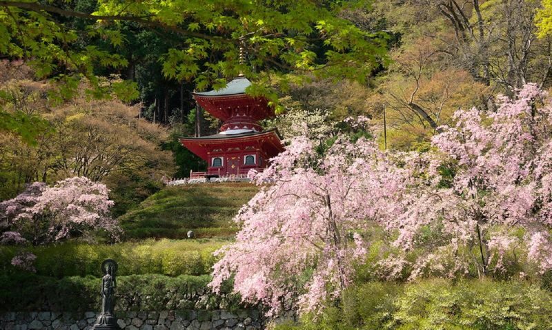 Minoh Katsuoji Temple Walking Tour with Local Guide (4 Hours) - Spring blossoms or autumn color