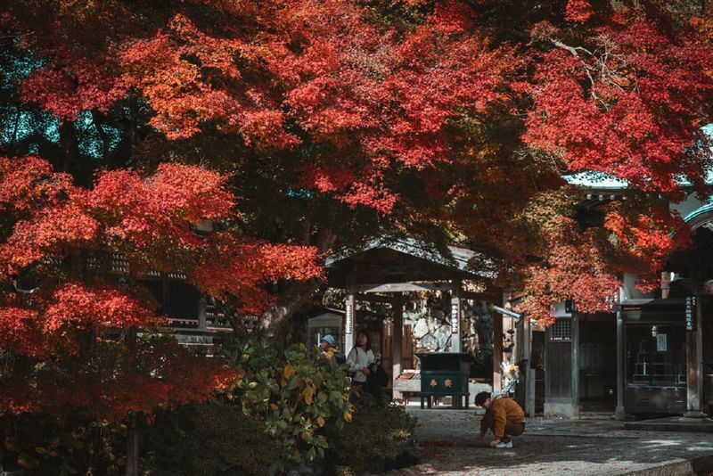 Minoh Katsuoji Temple Walking Tour with Local Guide (4 Hours) - Check the duration before booking