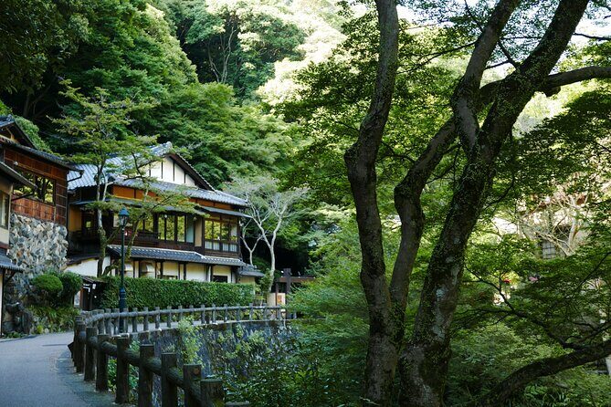 Minoh Waterfall and nature walk through the Minoh Park - Is This Tour Right for You?